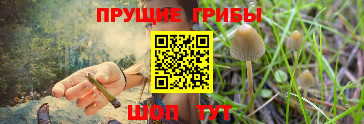 Псилоцибиновые грибы мухоморы Северодвинск