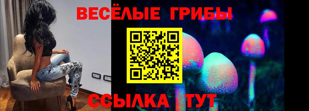 Северодвинск  Галлюциногенные грибы прущие грибы  Вход с VPN 