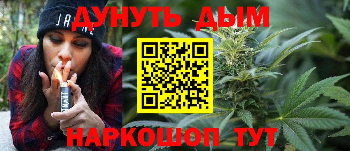 Каннабис OG Kush Северодвинск